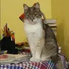 Отзыв от Катя Кравцова